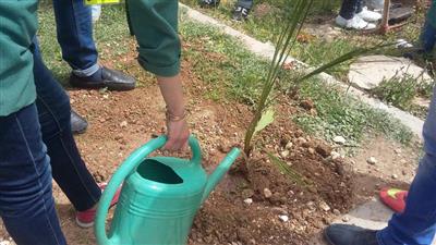مبادرة لغرس الأشجار بدير علا مبادرة لغرس الأشجار بدير علا