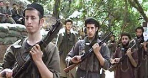 الافراج عن سويدى خطفته القاعدة فى مالى 2011