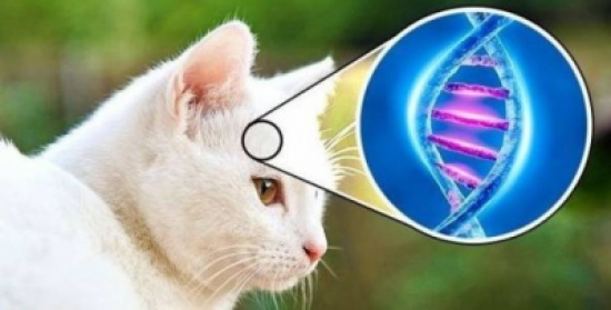 10 مواقف غيرت فيها الحيوانات تاريخ البشرية للأبد!