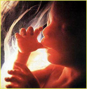 مراهقتان تسرقان جنينا من أمه