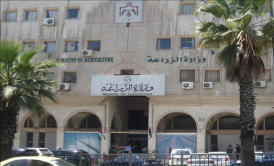 بدء حملة رش الذباب المنزلي في وادي الاردن