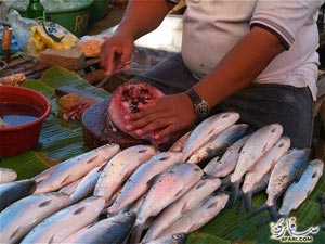 الاردنيون يتحولون لاستهلاك المنتجات البحرية وينفقون 60 مليون دينار 