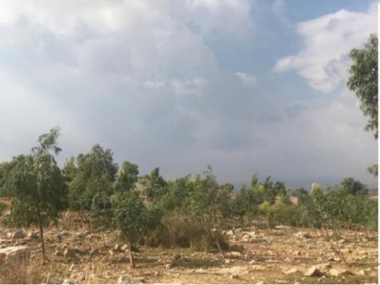عجلون : اصحاب مشاريع سياحية يطالبون بحملة للتعريف بالفرص الاستثمارية المتوفرة عجلون : اصحاب مشاريع سياحية يطالبون بحملة للتعريف بالفرص الاستثمارية المتوفرة