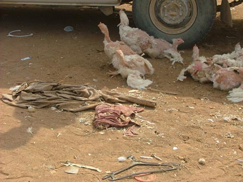 مواد منتهية الصلاحية بسوق الجمعة فـي مادبا