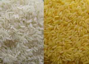 ضبط 300 طن من الأرز غير صالحة للاستهلاك البشري