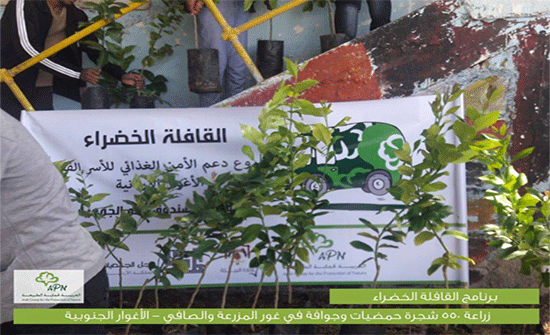 برنامج القافلة الخضراء يزرع ويوزع 550 شجرة في الأغوار الجنوبية