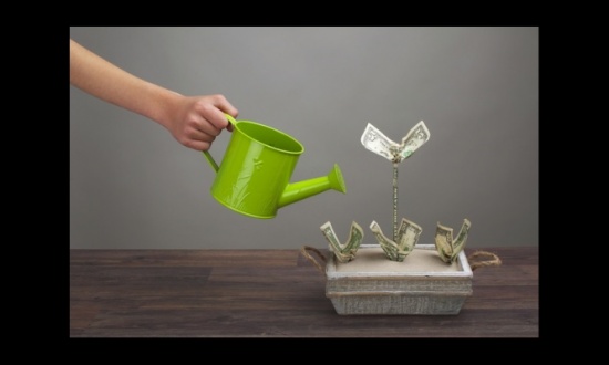 برنامج التمويل الجماعي ينقل شبابا متعطلين الى منتجين