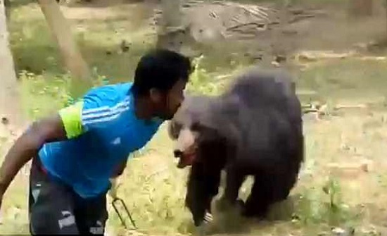 بالفيديو : دب يهاجم رجلا بعد قتله زوجين في الهند