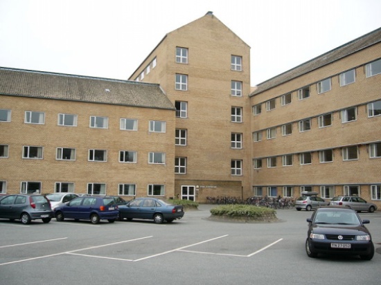 ورشة عمل في "الألمانية الأردنية" حول دمج اللاجئين