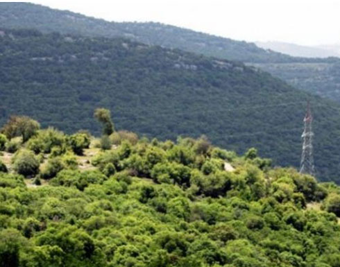 غابات برقش تغص بالاف المتنزهين غابات برقش تغص بالاف المتنزهين