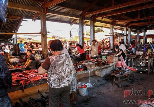 بالصور.. أكبر سوق تجاري بإندونيسيا لبيع الفئران والكلاب المشوية بالصور.. أكبر سوق تجاري بإندونيسيا لبيع الفئران والكلاب المشوية