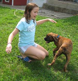 كلاب للمواساة وتخفيف المصائب 