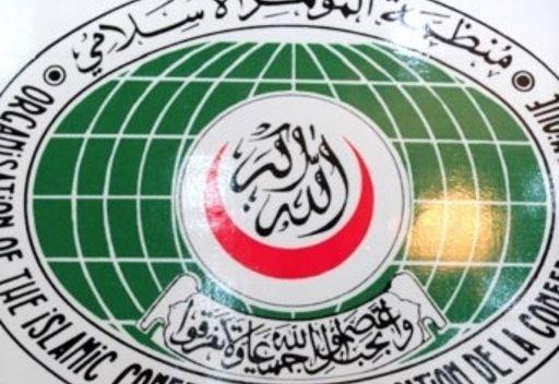 جهود إسلامية مكثفة لضمان أعلى نسبة تصويت للاعتراف بفلسطين بالأمم المتحدة جهود إسلامية مكثفة لضمان أعلى نسبة تصويت للاعتراف بفلسطين بالأمم المتحدة