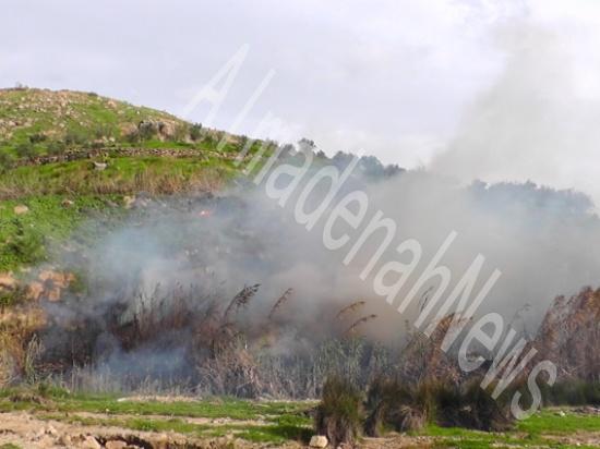 إخماد حريق أشجار وأعشاب جافة في محافظة اربد