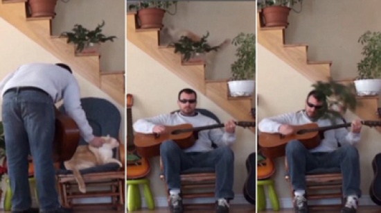 شاهد.. قط ينتقم من عازف جيتار عامله بقسوة