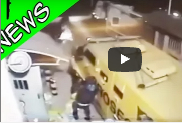 شاهد.. صوص يسرقون نقود من سيارة مصفحة