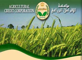 الاقراض الزراعي تكرم فروعها المتميزة في الاداء والتحصيل