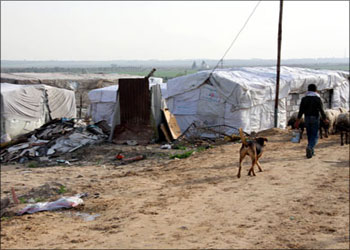 بانتظار الموافقة النهائية من الحكومة المصرية.. منازل متنقلة قريبا إلى غزة  