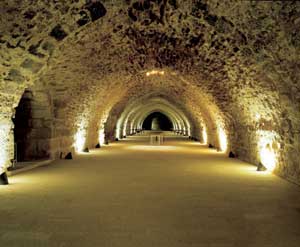 مؤتمر الشباب في الكرك يقر وثيقة الشرف الشبابية 