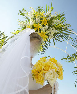 معركة دامية بسبب "لون شعر العروسة"