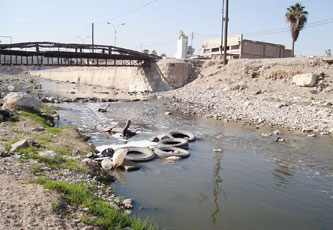 مدير مشروع حوض نهر الزرقاء : تدهور مكونات النظام البيئي بالحوض من اكبر التحديات البيئية