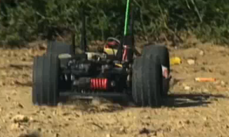 الكلب واللعبة