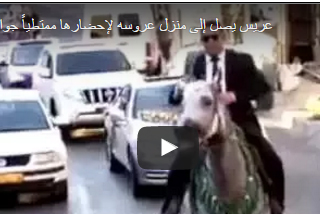 بالفيديو.. عريس يصل إلى منزل عروسه راكبا حصانا وشاهرا سيفا بالفيديو.. عريس يصل إلى منزل عروسه راكبا حصانا وشاهرا سيفا