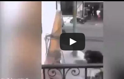 بالفيديو: رجل يترك كلبه يقود دراجته البخارية