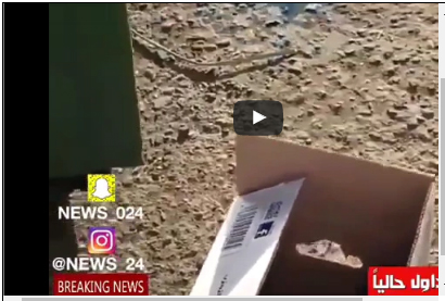 بالفيديو.. العثور على طفل حديث الولادة بجانب القمامة