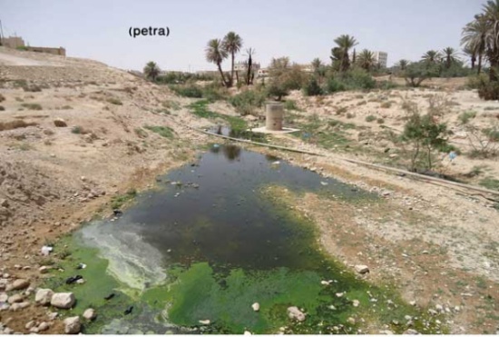 صيانة خطوط صرف صحي في مدينة معان الشهر الحالي صيانة خطوط صرف صحي في مدينة معان الشهر الحالي