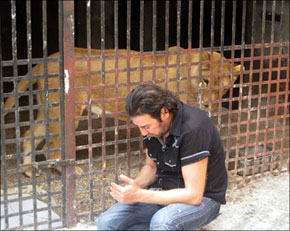 سوري يصطاد السباع لتربيتها 