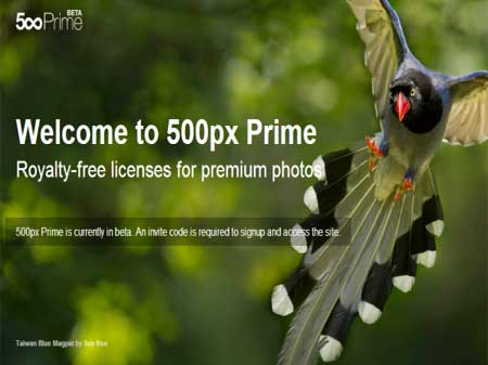 خدمة مشاركة الصور 500px تطلق متجرًا لترخيص استخدام صورها تجاريًا خدمة مشاركة الصور 500px تطلق متجرًا لترخيص استخدام صورها تجاريًا