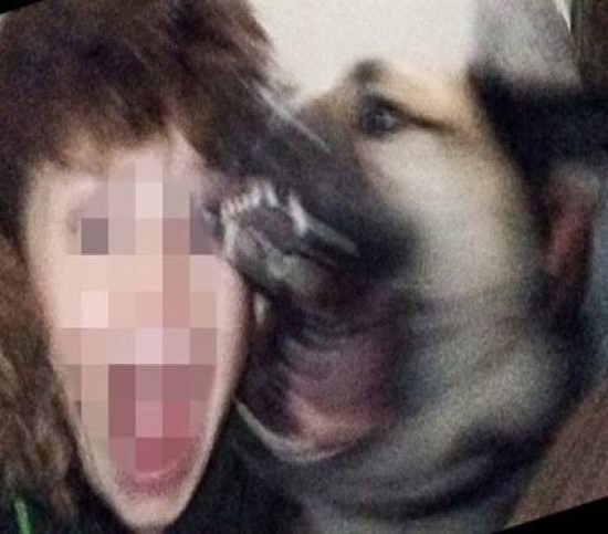 صور| صورة "سناب شات" تتسبب بكارثة لطفل أثناء محاولته التقاطها مع كلب! صور| صورة "سناب شات" تتسبب بكارثة لطفل أثناء محاولته التقاطها مع كلب!