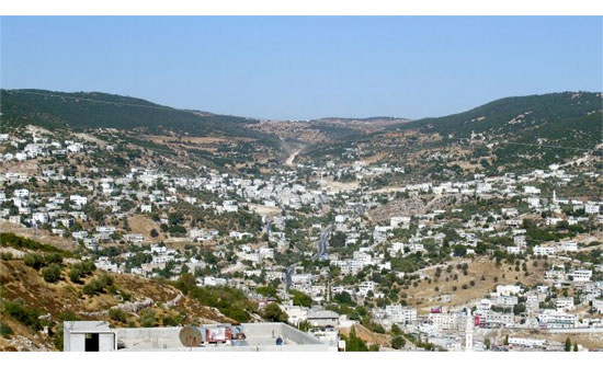 محافظ عجلون يؤكد أهمية تكثيف جهود حماية الثروة الحرجية محافظ عجلون يؤكد أهمية تكثيف جهود حماية الثروة الحرجية