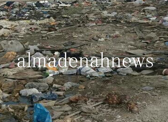 منازل في عين الباشا للبيع بسبب تراكم القاذورات