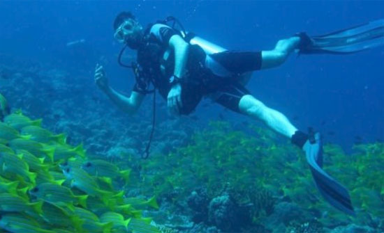 استحداث 5 مواقع غوص طبيعية جديدة بالمتنزه البحري جنوب العقبة