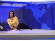 بالفيديو: شاهد ماذا فعل كلب بمذيعة أثناء نشرة إخبارية