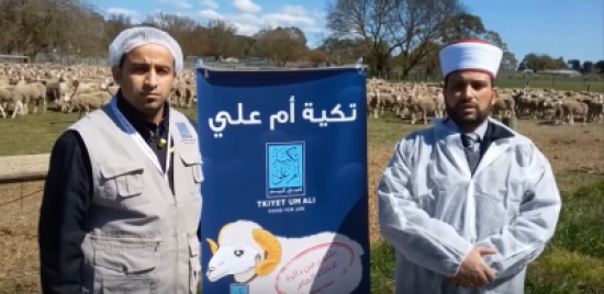 تكية أم علي تطلق حملة اضاحيها لهذا العام تكية أم علي تطلق حملة اضاحيها لهذا العام