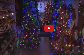 شاهد..  ألماني يزين منزله بـ 110 شجرة ميلاد