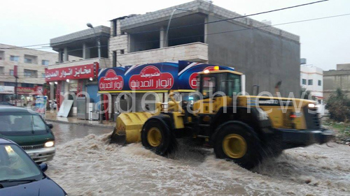 الرمثا تنتظر موسما زراعيا يبشر بالخير الوفير الرمثا تنتظر موسما زراعيا يبشر بالخير الوفير