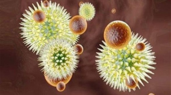 مصر تحتجز مواطناً وصل إلى مطار القاهرة بسبب "إيبولا"