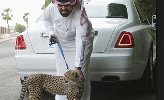 هذه صور البذخ لبعض أبناء السعوديين الأثرياء على إنستغرام هذه صور البذخ لبعض أبناء السعوديين الأثرياء على إنستغرام
