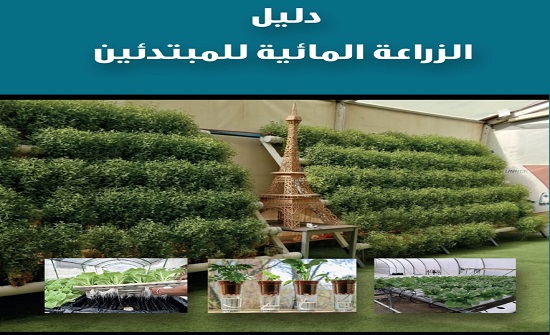 صدور دليل الزراعة المائية للمبتدئين صدور دليل الزراعة المائية للمبتدئين