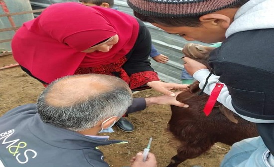 زراعة المفرق تنظم يوما حقليا للإرشاد البيطري زراعة المفرق تنظم يوما حقليا للإرشاد البيطري