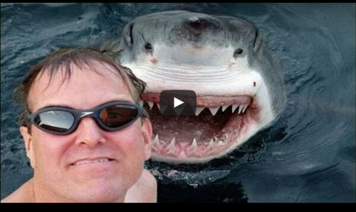 أخطر 25 "سليفي" في العالم تستقطب عشرات الملايين (شاهد)