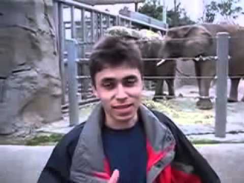 هذا هو أول فيديو نشر على يوتيوب قبل 13 عاماً