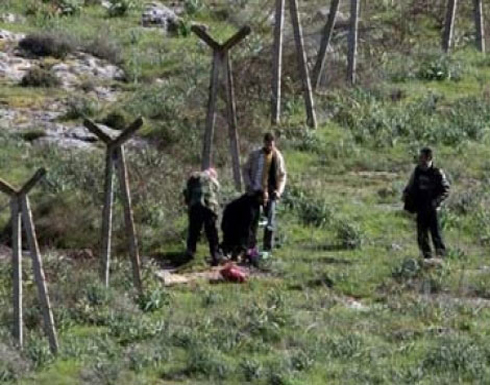 تهريب السوريين الى الأردن : 600 دينار لكل شخص تهريب السوريين الى الأردن : 600 دينار لكل شخص
