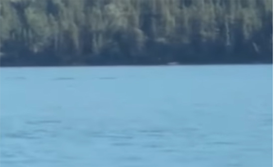 بالفيديو: مخلوق محير يظهر بالصدفة أثناء تصوير بحيرة في الصين