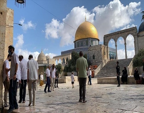"الأوقاف" الفلسطينية: 22 اقتحاما لـ "الأقصى" ومنع الأذان 50 وقتا بـ "الإبراهيمي" "الأوقاف" الفلسطينية: 22 اقتحاما لـ "الأقصى" ومنع الأذان 50 وقتا بـ "الإبراهيمي"