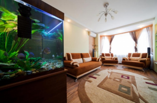 اعكسي روح الطبيعة المنعشة في بيتك من خلال أحواض السمك